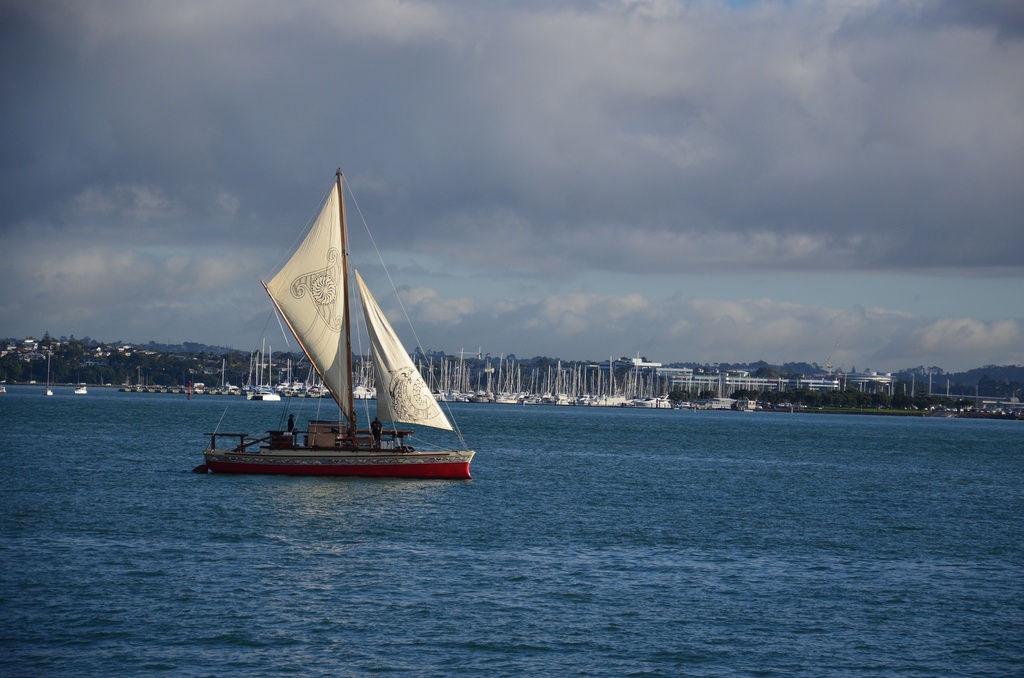 2017-03 New Zealand/Rangitoto/DSC_0091.JPG